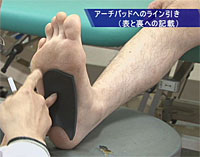 入谷式カウンター理論DVD &足の機能解剖と歩行分析DVDセット