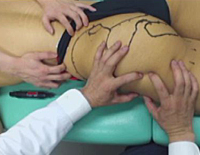 筋および受容器に対する治療的触察・刺激法 ＜骨盤部・下肢編＞（全３ 