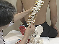 関節ニュートラル整体による調整法～腰痛・肩こりケア体操とMT法による